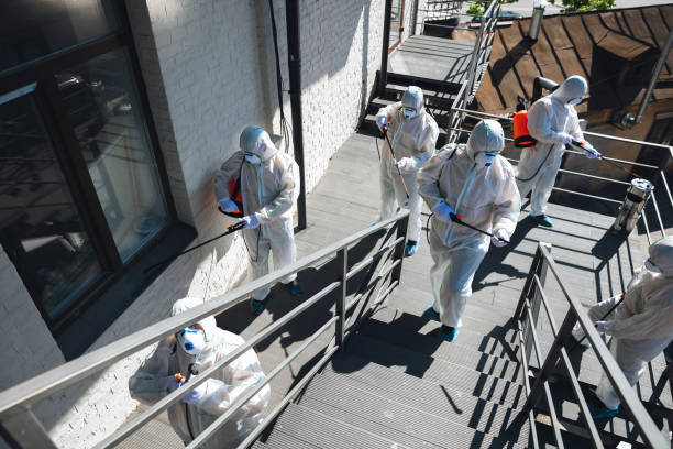 Best Forensic Mold Investigation  in South Windham, CT