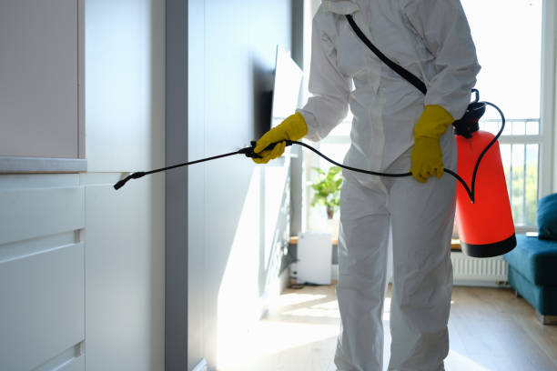 Best Biohazard Mold Removal  in South Windham, CT